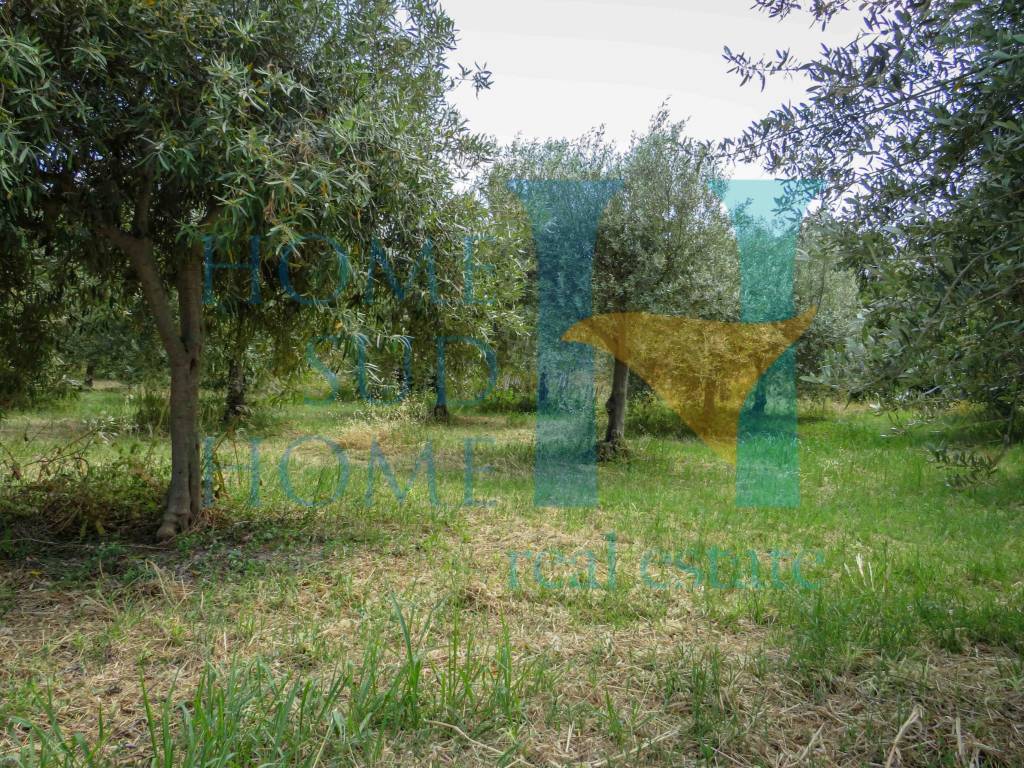 Villa a Avola in Piazza Umberto I, 1 - Foto 4