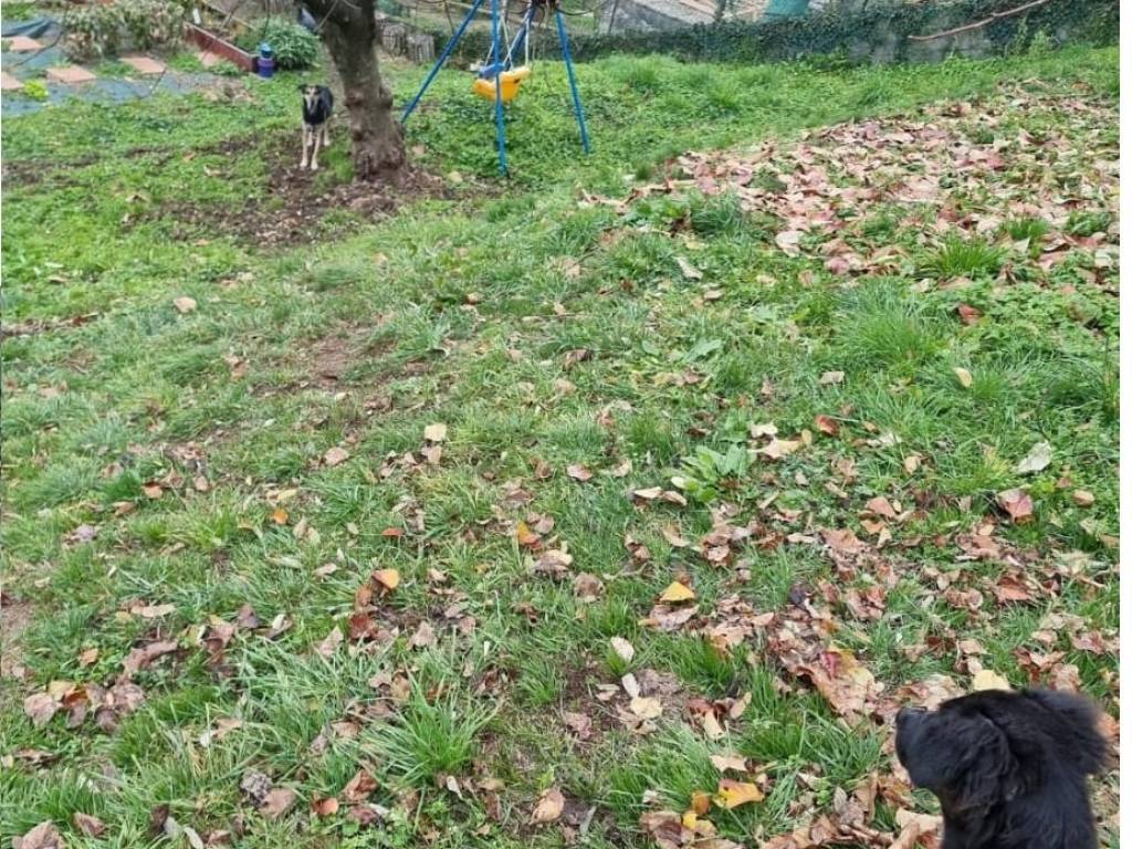 Appartamento a Bisuschio in Via Giuseppe Verdi, 7 - Foto 3
