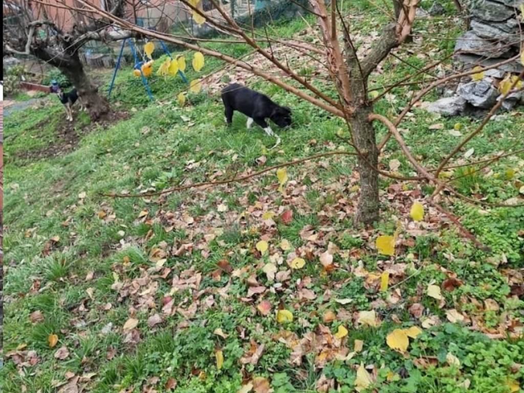 Appartamento a Bisuschio in Via Giuseppe Verdi, 7 - Foto 4