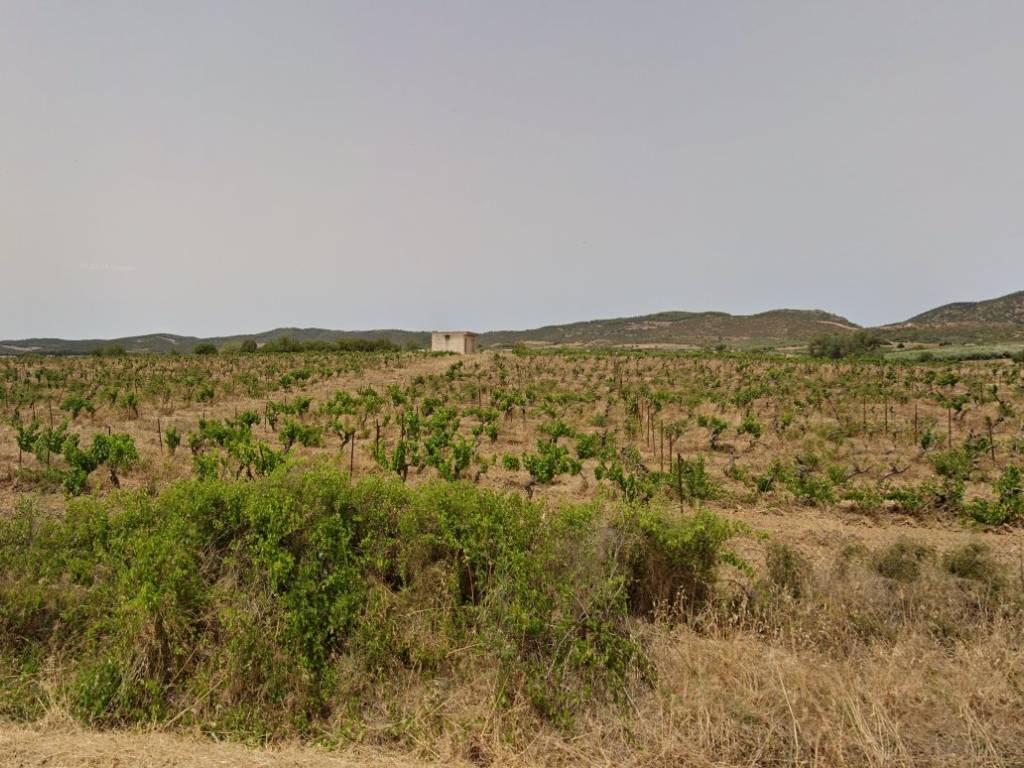 Terreno a Donori in Strada Vicinale Donori Barrali - Foto 3