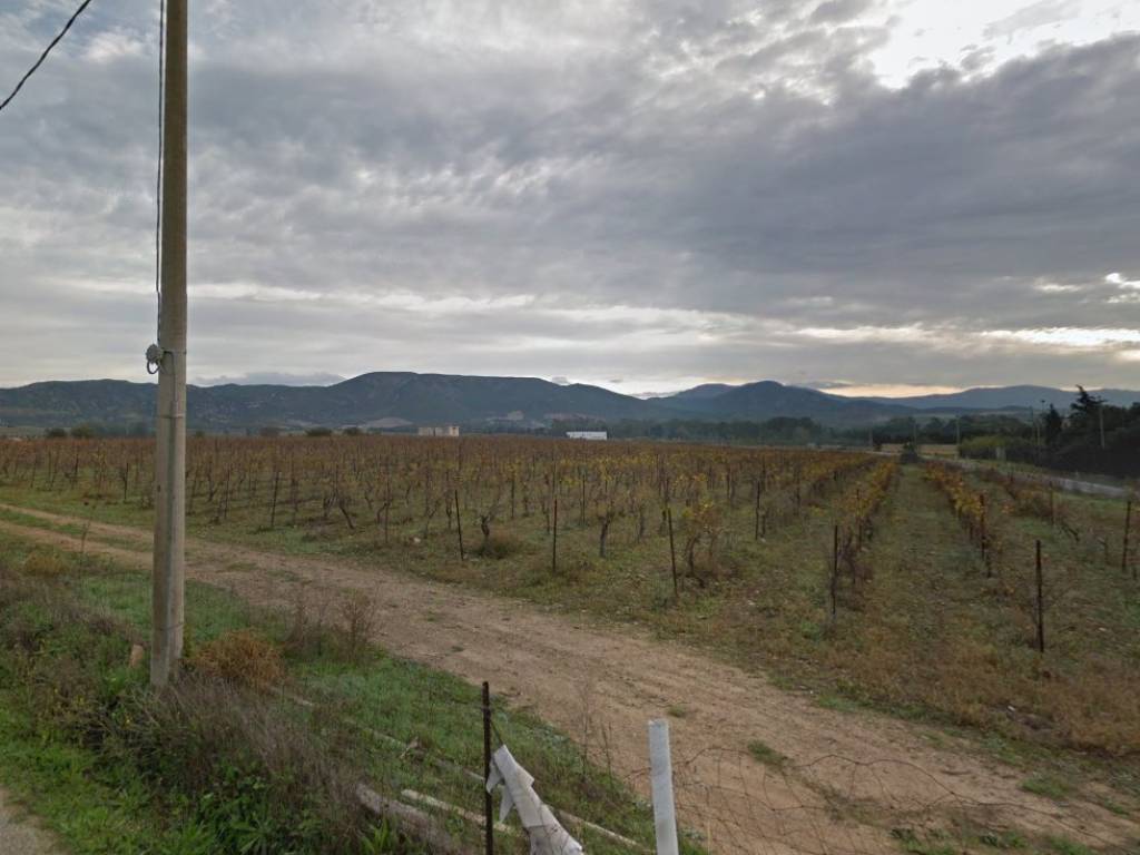 Terreno a Donori in Strada Vicinale Donori Barrali - Foto 4