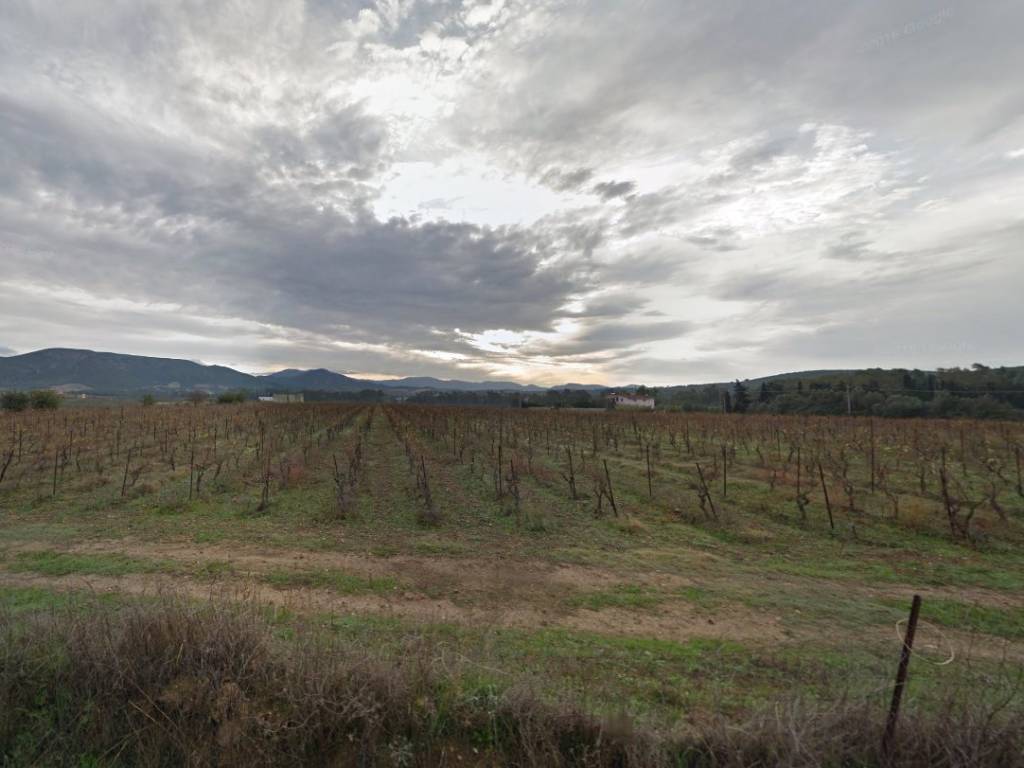 Terreno a Donori in Strada Vicinale Donori Barrali - Foto 5