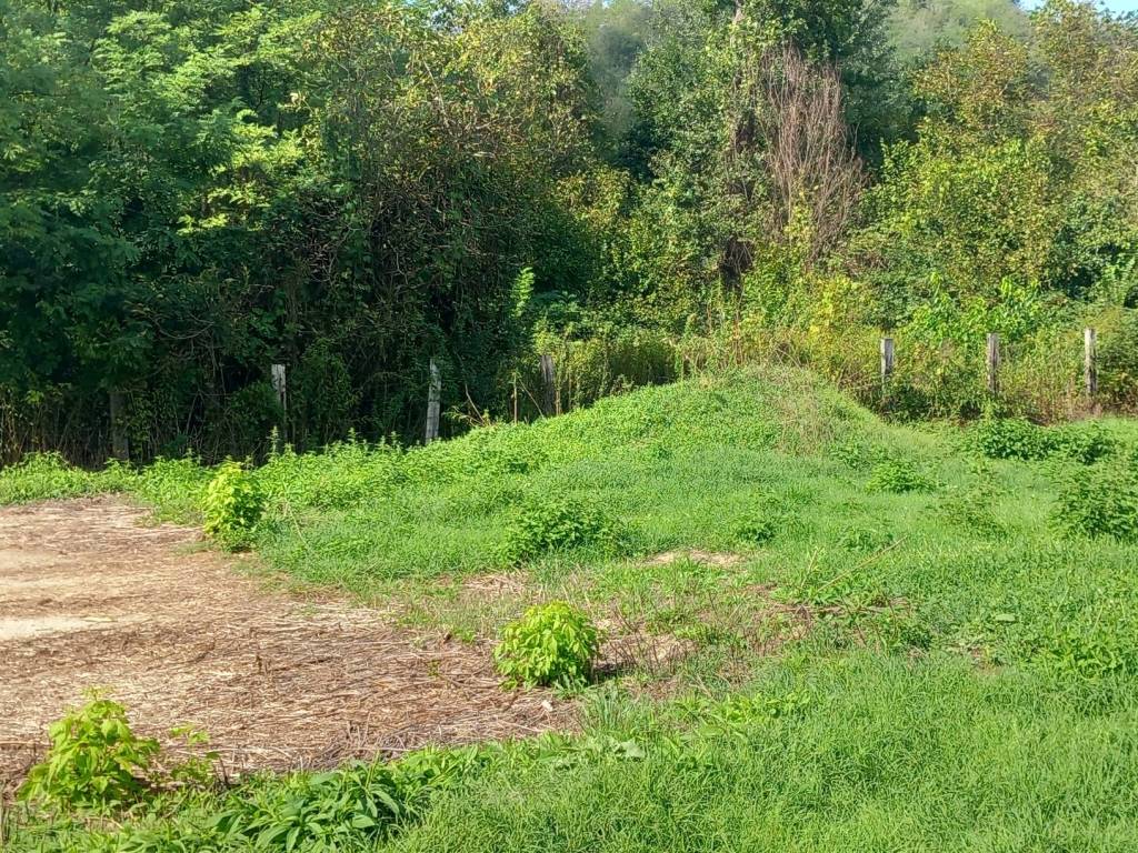 Terreno a Asti in Frazione Sessant - Foto 2