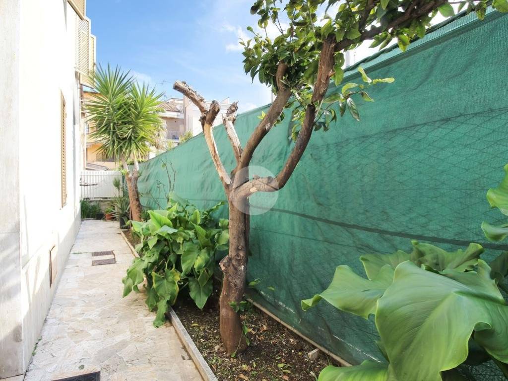Casa indipendente a San benedetto del tronto in Via Carlo Rosselli, 18 - Foto 2