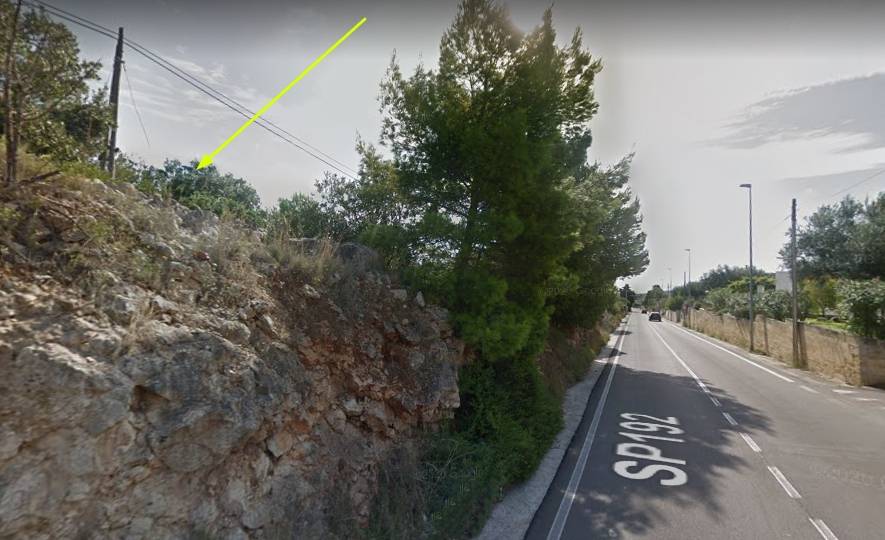 Terreno a Patù - Foto 3