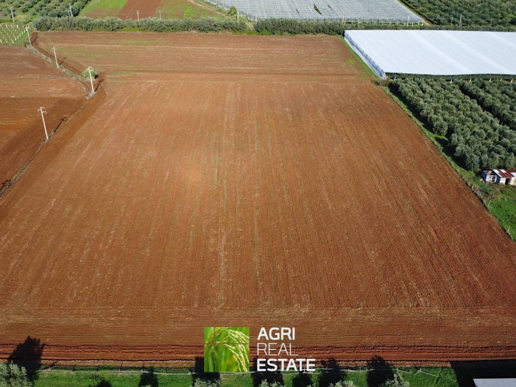 Terreno a Cisterna di latina in Via Leone XII - Foto 2