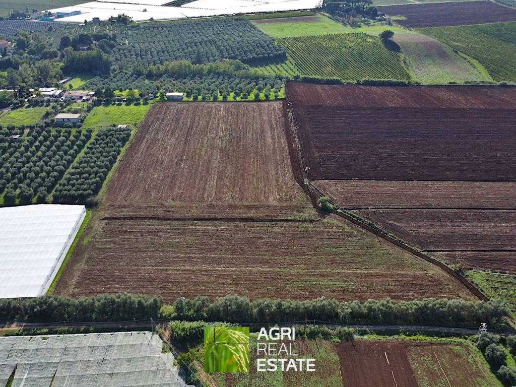 Terreno a Cisterna di latina in Via Leone XII - Foto 5
