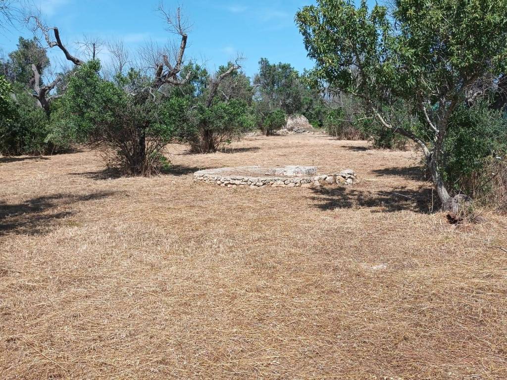 Terreno a Sannicola in Contrada Stracca - Foto 4