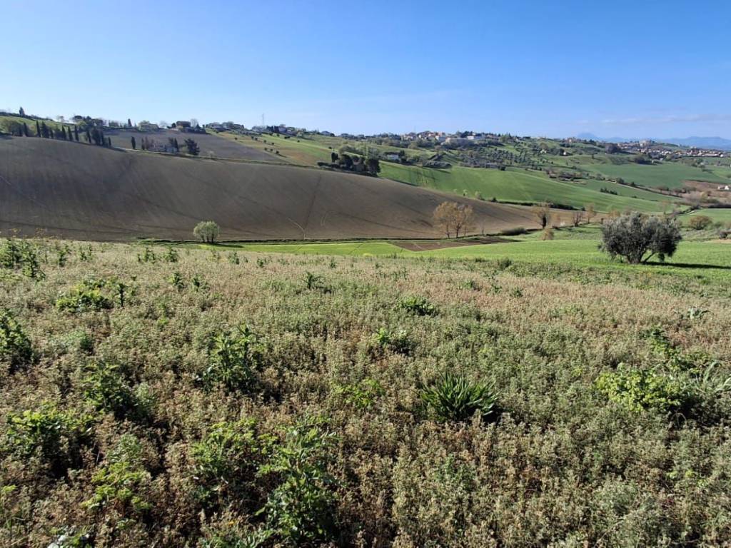 Terreno a Senigallia in Via della Torre, 116 - Foto 5