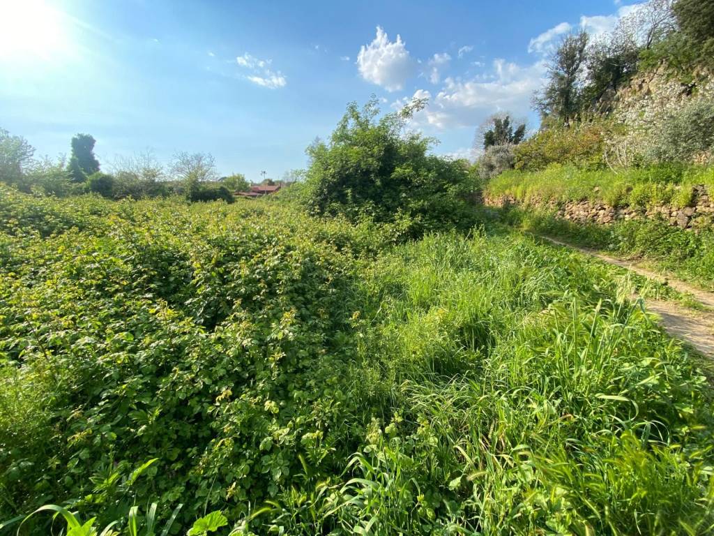 Terreno a Tivoli in Strada San Vittorino - Foto 5