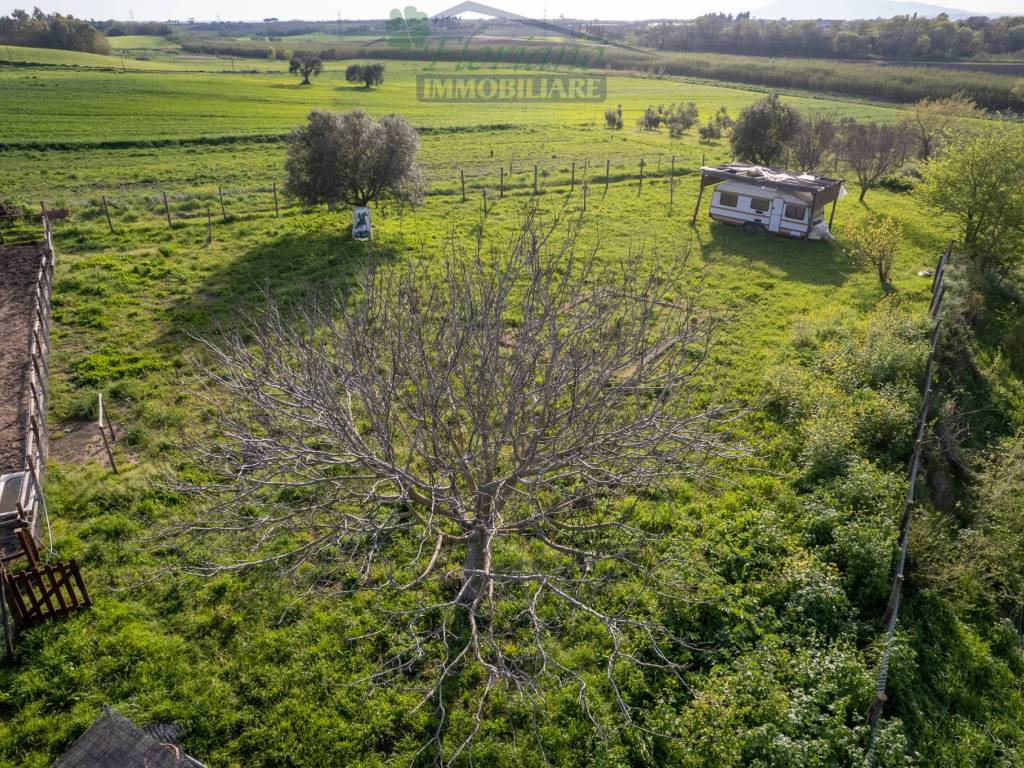 Terreno a Montalto di castro in Strada Tavolaro - Foto 2