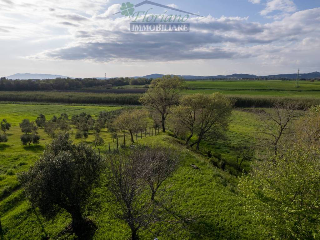 Terreno a Montalto di castro in Strada Tavolaro - Foto 4