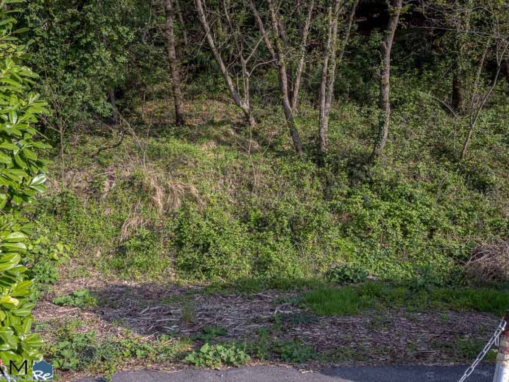 Terreno a Muggia in STRADA PER LAZZARETTO , 59 - Foto 5