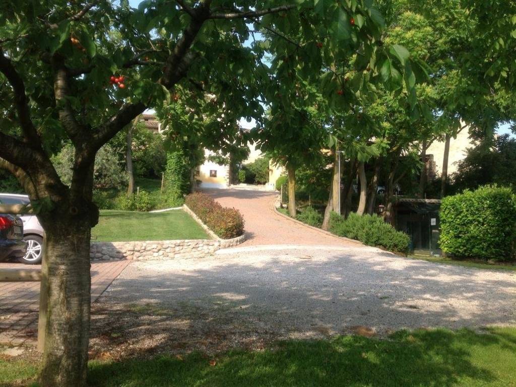Rustico / casale a Bardolino - Foto 2