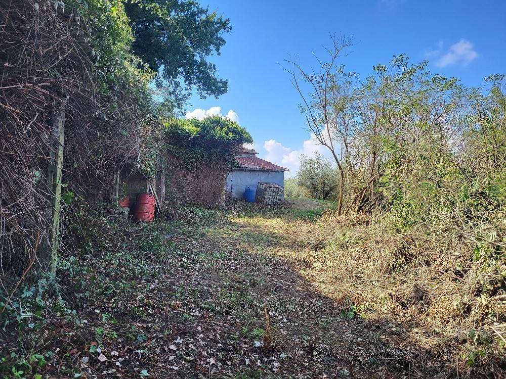 Rustico / casale a Penna in teverina in Località Vallicelle - Foto 4
