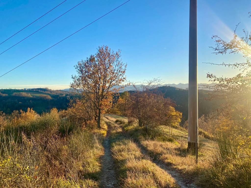 Terreno a Marsaglia in Borgata Giaclot - Foto 5