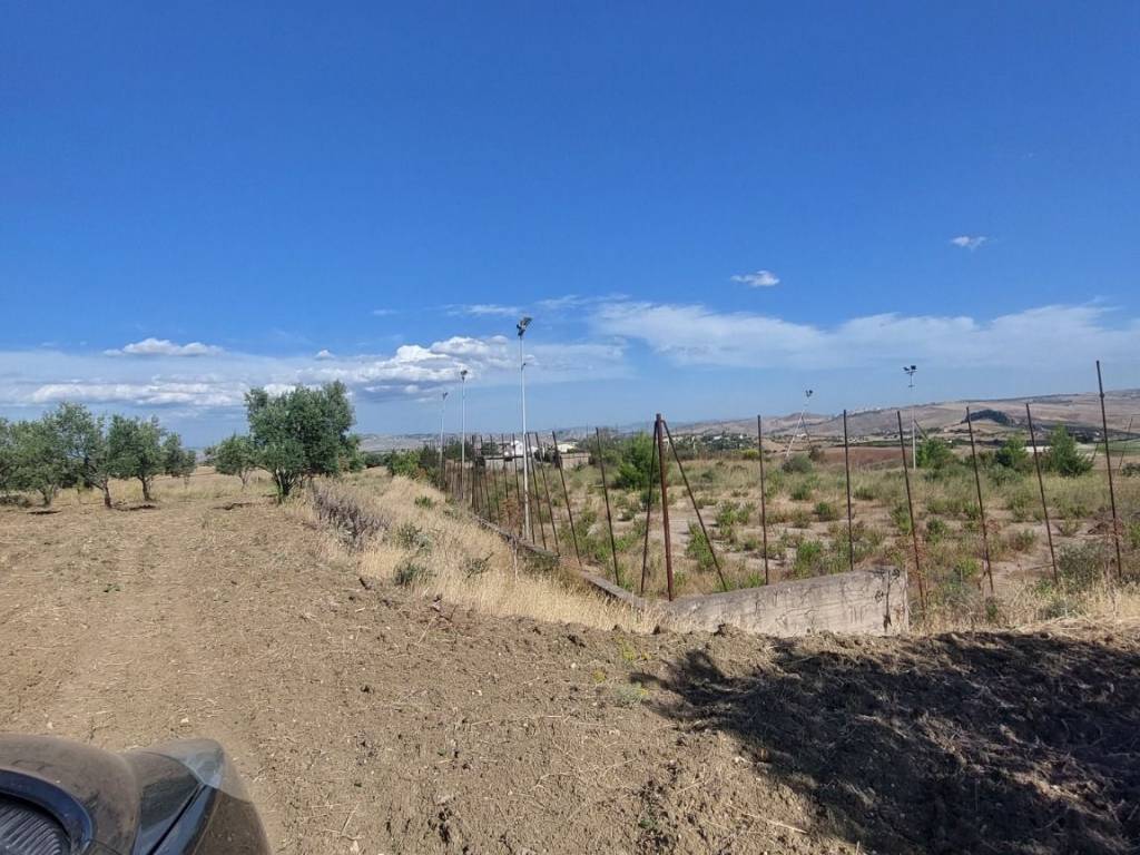 Terreno a Caltanissetta in Contrada Favarella - Foto 3