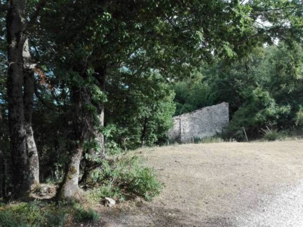 Rustico / casale a Colle di tora in Via Via Dei Fontanili - Foto 3