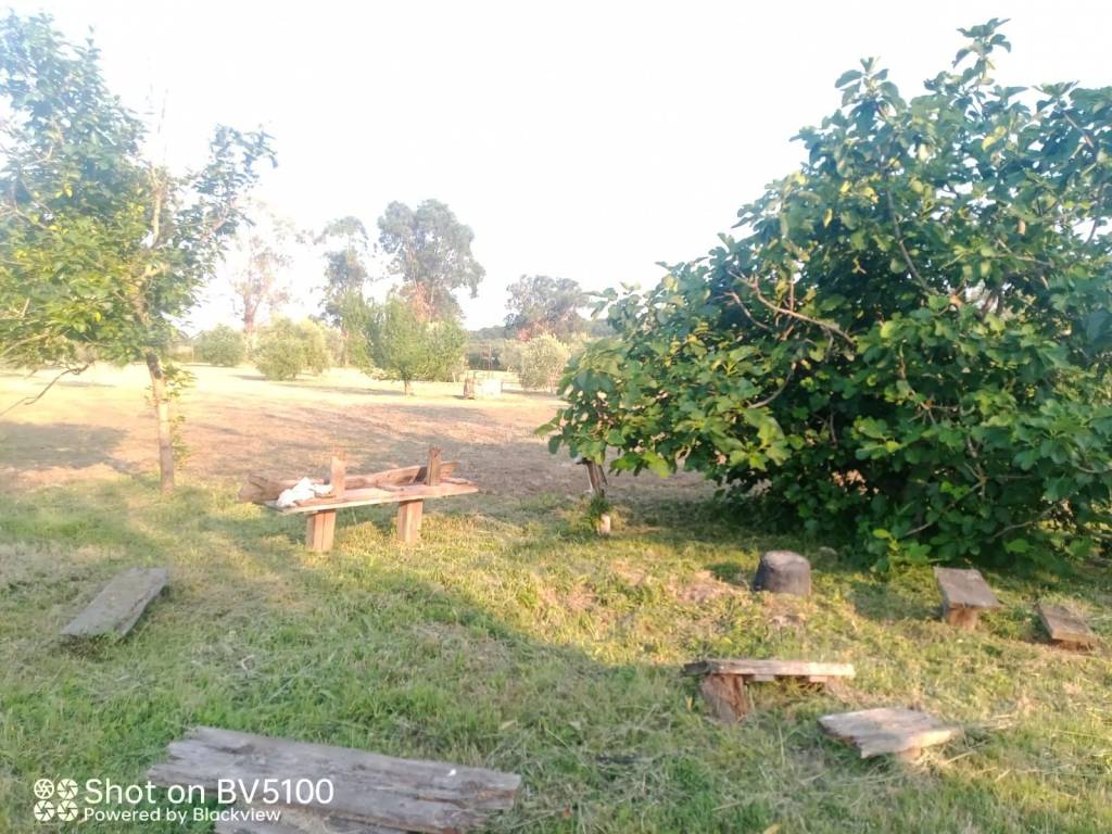 Terreno a Castiglione della pescaia - Foto 2