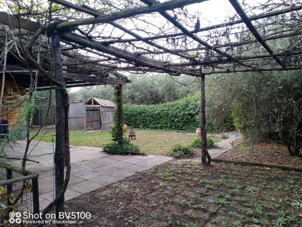 Terreno a Castiglione della pescaia - Foto 3