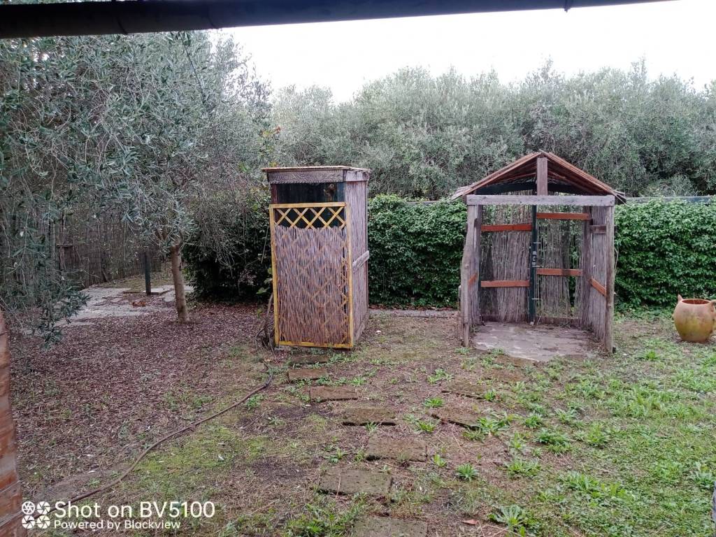 Terreno a Castiglione della pescaia - Foto 4