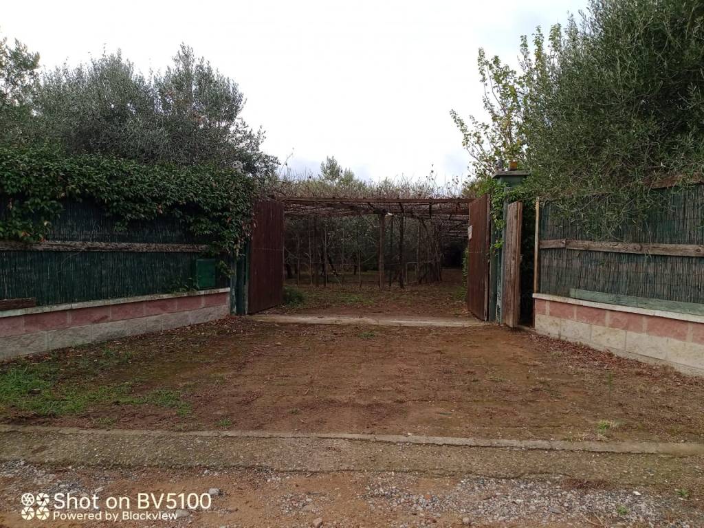 Terreno a Castiglione della pescaia - Foto 5