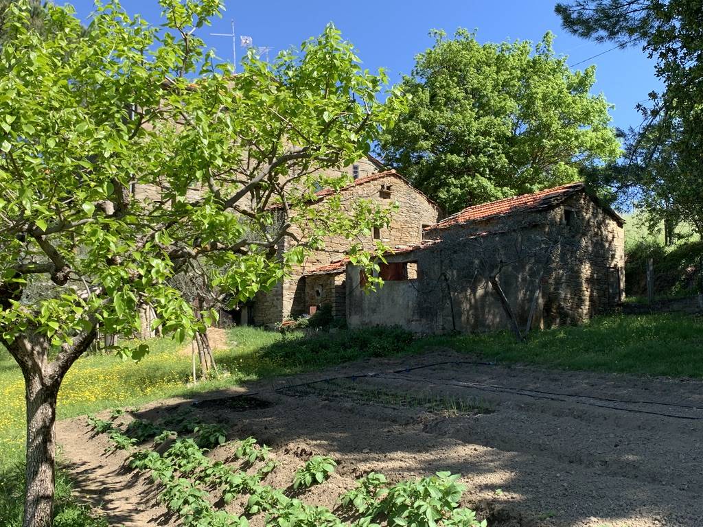 Rustico / casale a Cortona in Cantalena - Foto 4