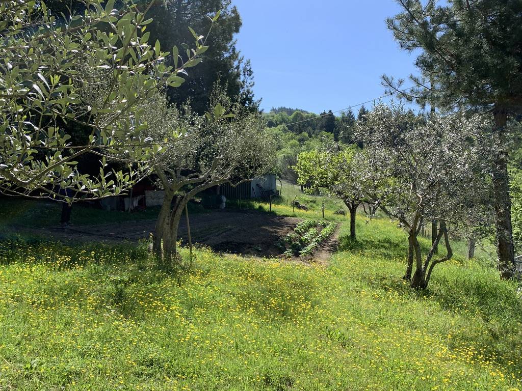 Rustico / casale a Cortona in Cantalena - Foto 5