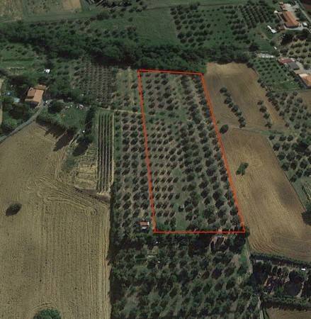 Terreno a Rosignano marittimo in Pipistrello - Foto 2
