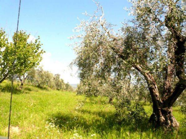 Terreno a Rosignano marittimo in Pipistrello - Foto 3