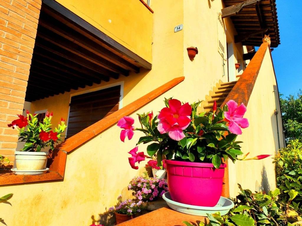 Appartamento a Rosignano marittimo in Via bagnoli - Foto 4