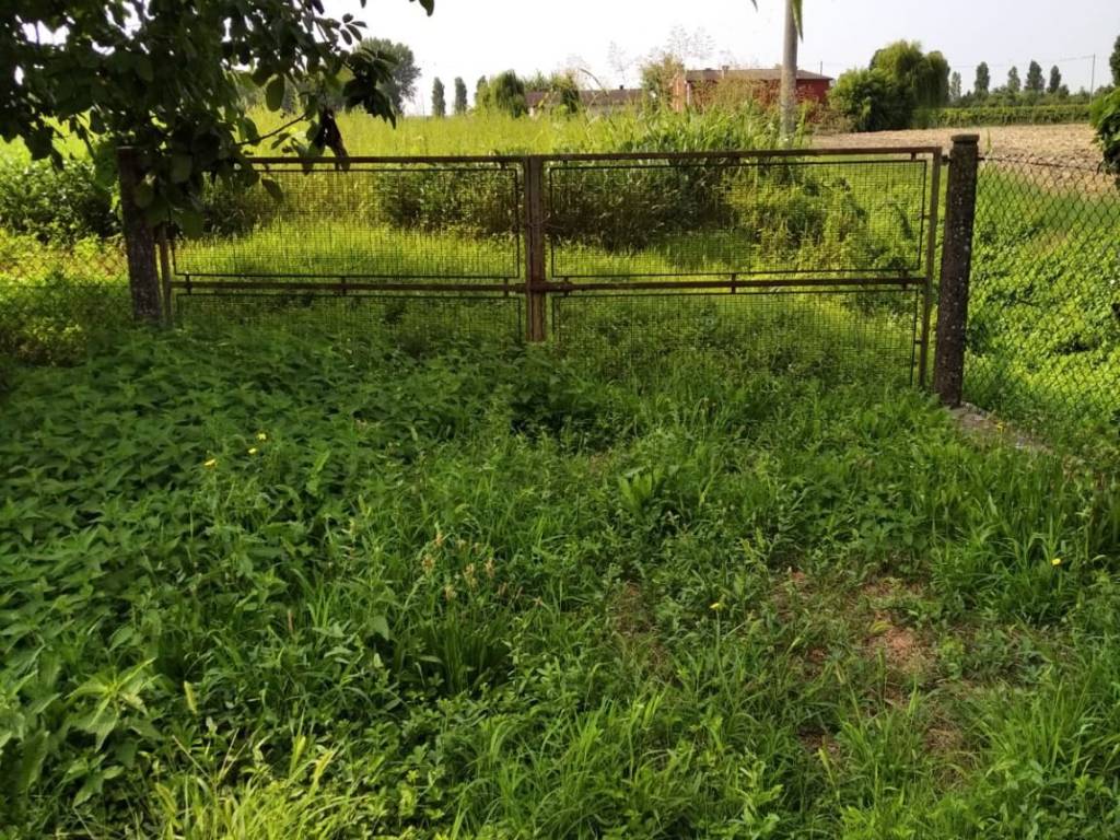 Rustico / casale a Conselve - Foto 5