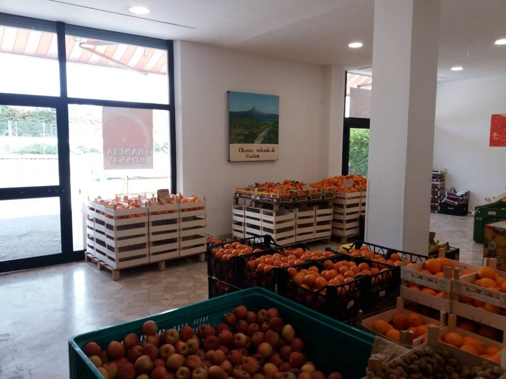 Immobile a Ascoli piceno in via aprutina - Foto 3