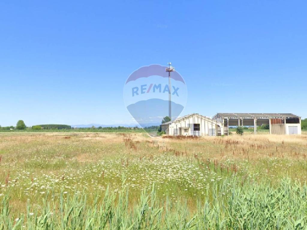 Rustico / casale a Porto mantovano - Foto 3