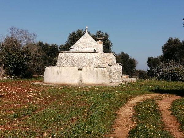 Rustico / casale a San michele salentino in contrada Augelluzzi - Foto 3