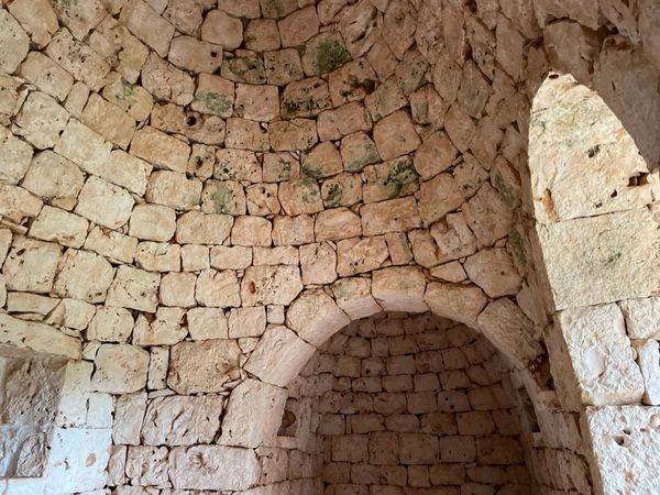 Rustico / casale a San michele salentino in contrada Augelluzzi - Foto 4