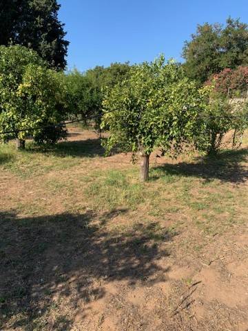 Terreno a Quartucciu in Via delle Camelie - Foto 3
