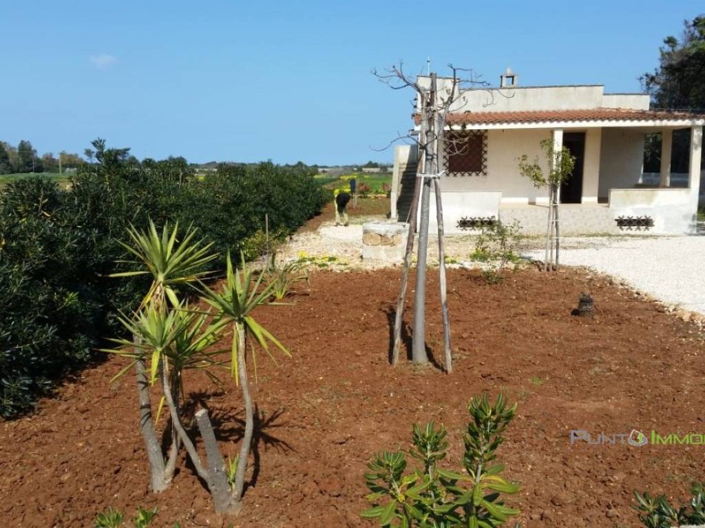 Villa a Carovigno in contrada scianola - Foto 3