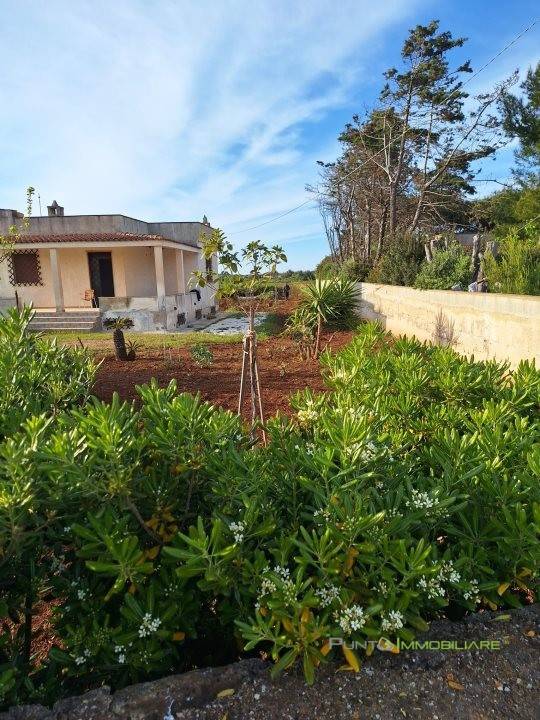 Villa a Carovigno in contrada scianola - Foto 4