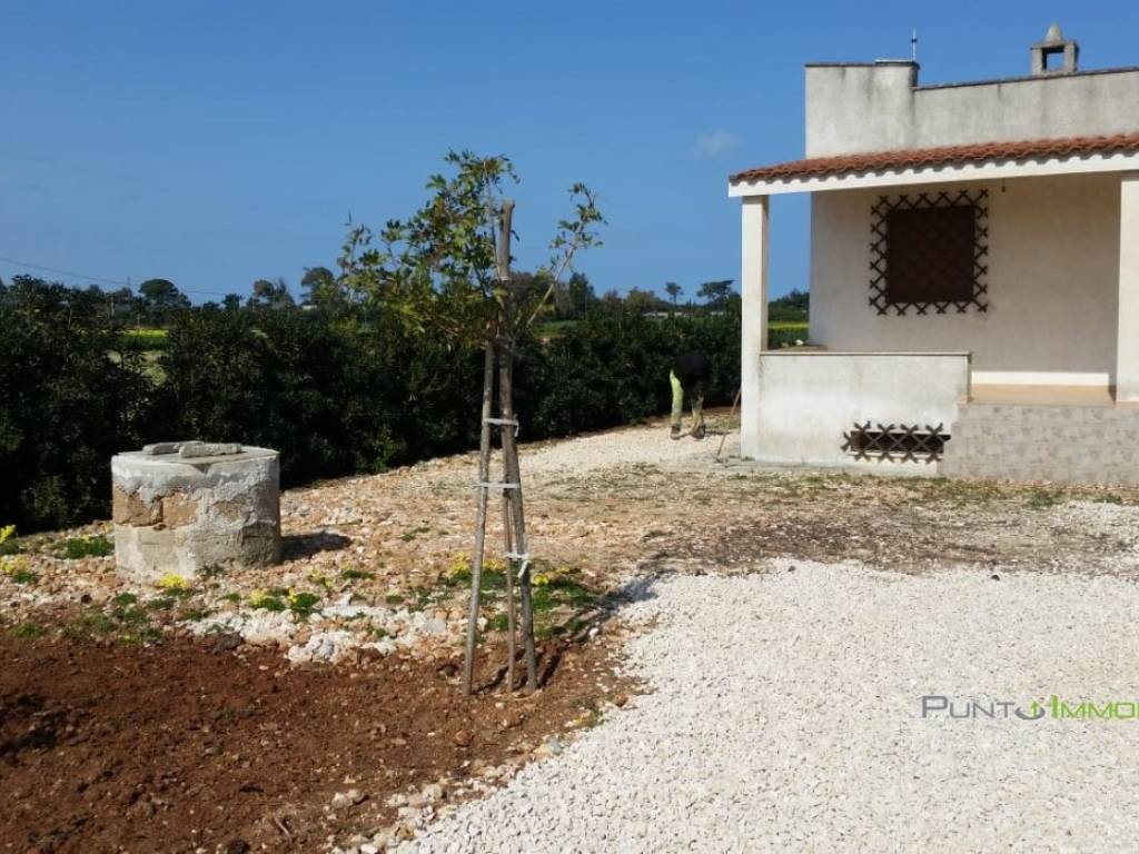 Villa a Carovigno in contrada scianola - Foto 5