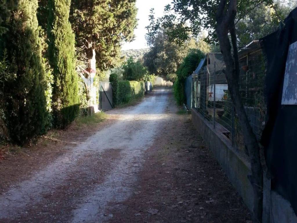 Appartamento a Piombino - Foto 2