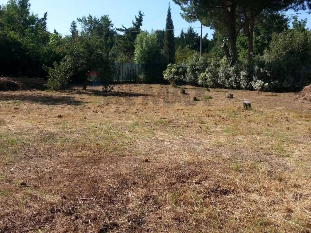 Appartamento a Piombino - Foto 3