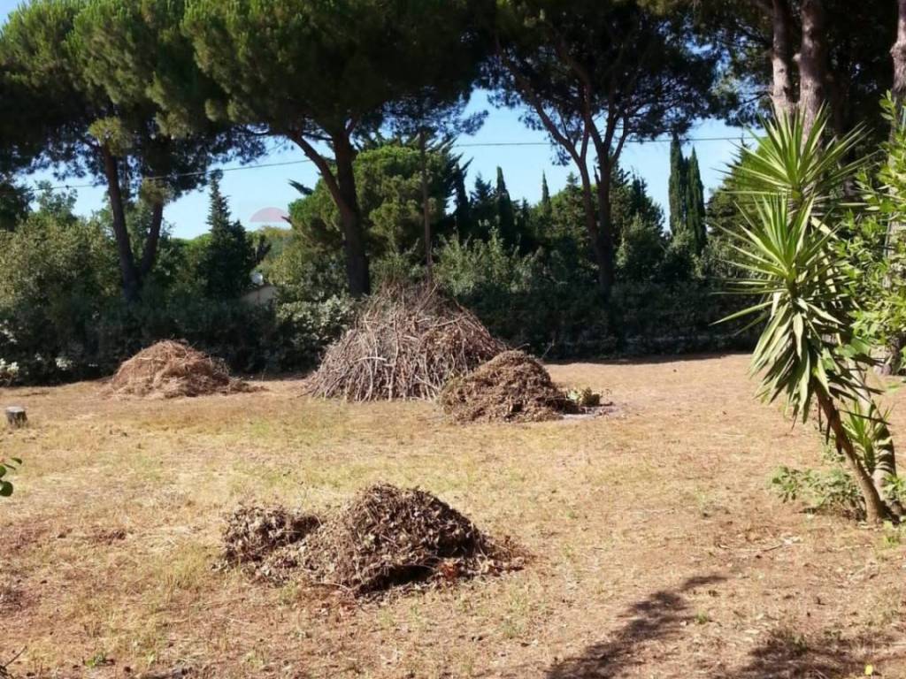 Appartamento a Piombino - Foto 4