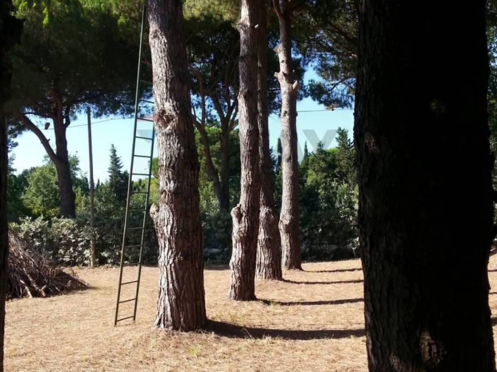 Appartamento a Piombino - Foto 5