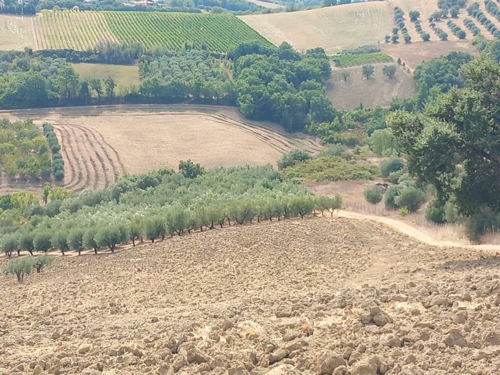 Terreno a Alanno in Strada Vicinale Raganella - Foto 3