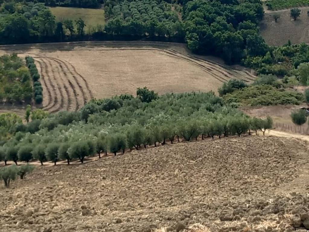 Terreno a Alanno in Strada Vicinale Raganella - Foto 5