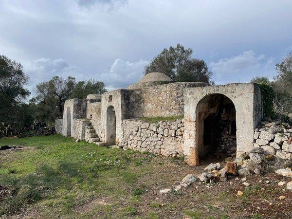 Rustico / casale a San michele salentino in contrada sardella - Foto 3