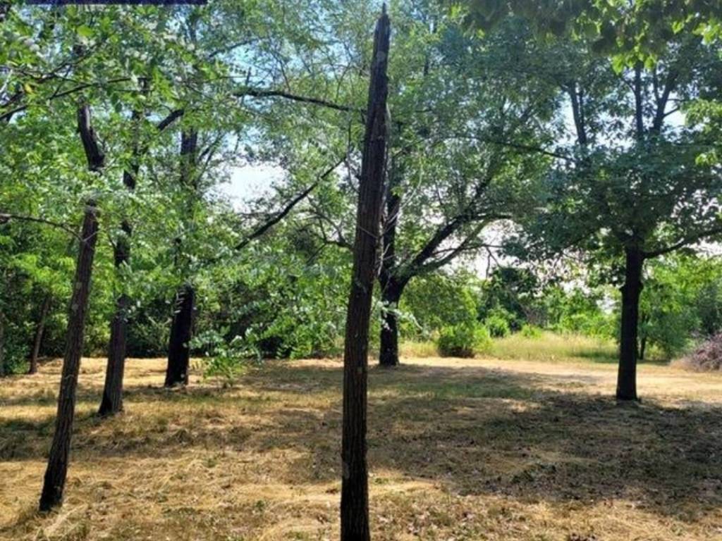 Terreno a San canzian d'isonzo in Via Silvio Pellico, 1 - Foto 2