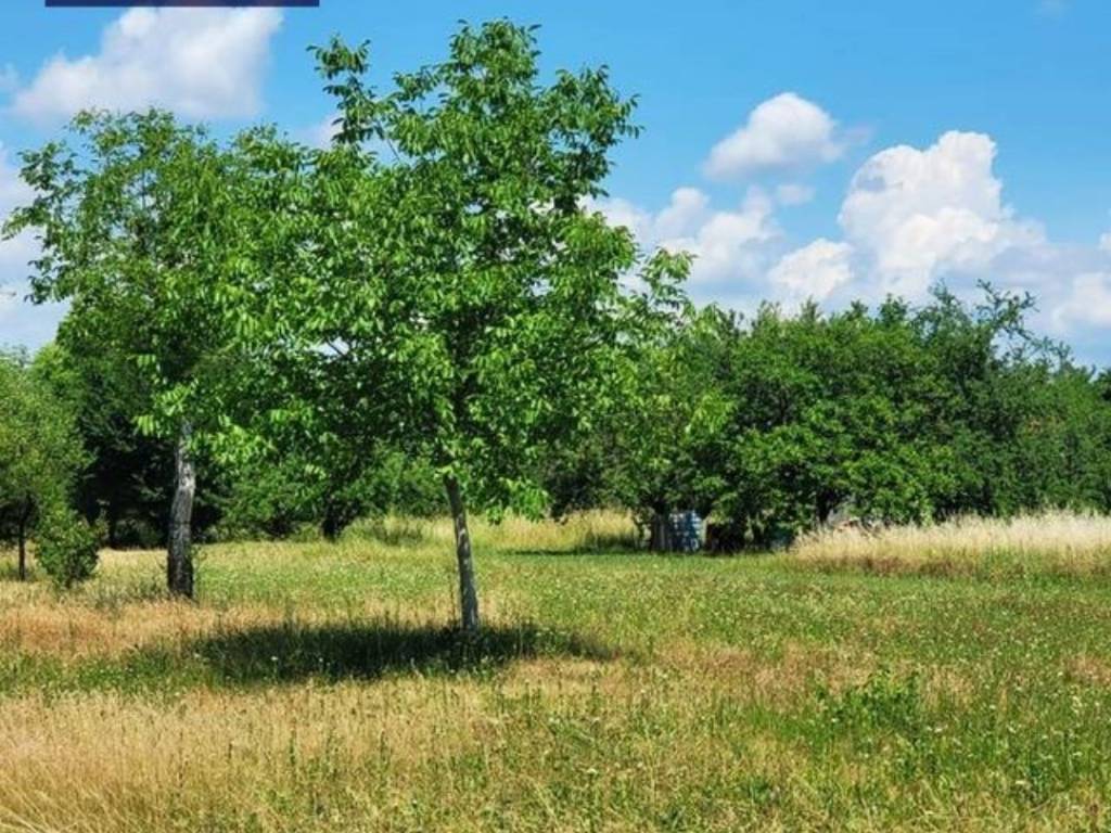 Terreno a San canzian d'isonzo in Via Silvio Pellico, 1 - Foto 5