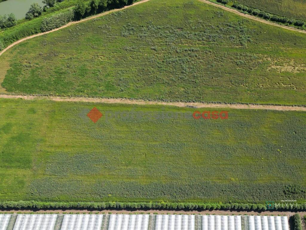 Terreno a Capaccio paestum in Via Brecciale - Foto 3